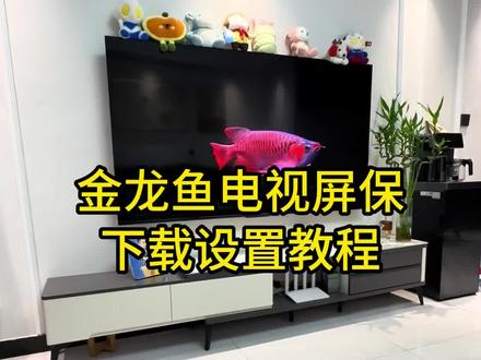 《哈六宝藏》电视养鱼教程#电子养鱼 #养鱼 #电视养鱼教程 #电视屏保 #金龙鱼屏保 龙鱼 金龙鱼 金龙鱼电视屏保教程