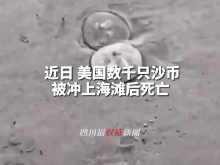 好多傻......沙币啊......#奇葩 #美国