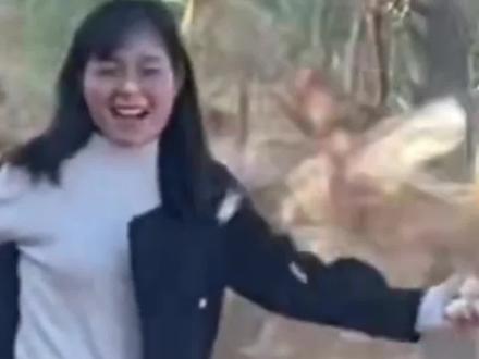 #上热门 盘点动物被吓一跳的真实反应,二哈直接跳楼!太损了! #被吓一跳的真实反应 #搞笑视频 #萌宠搞笑@DOU+小助手