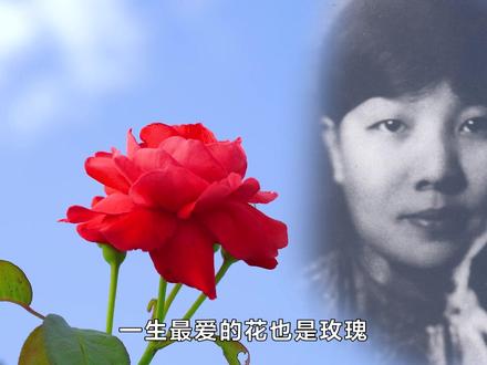 冰心先生一生钟爱 #玫瑰花 #花语 #名人大咖 #其花说