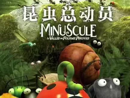 #昆虫总动员 #适合儿童看的动画片 它们的首届运动会