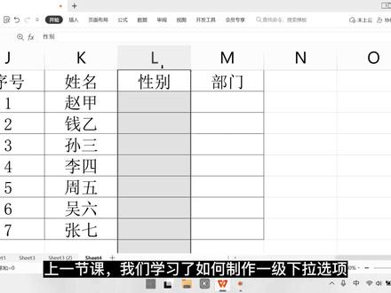 【WPS表格教程】二级下拉选项制作教程(课程复习) #wps表格 #WPS