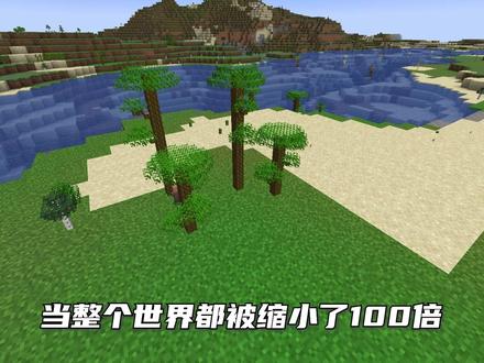 当所有东西都缩小100倍,而我没变会发生什么#我的世界