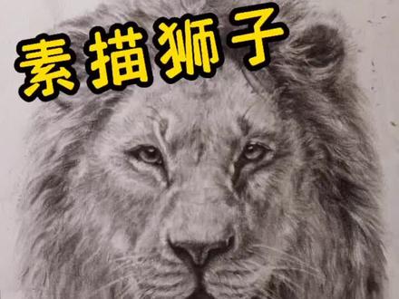 #素描狮子,你喜欢狮子吗?#素描教程 #手绘 #热门 #狮子座 #艺术 #原创 #一起享受大自然的美 #动物