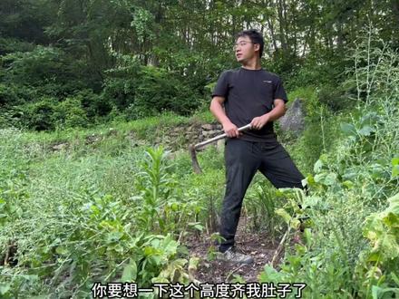 老刘的高光时刻,带着他的小舅子见识了他的70亩山林。回到老家为菜发愁,又到邻居奶奶的菜地去摘了菜#大山里的生活 #大山里的风景 #日常生活 #记录真实生活 #生活的烟火气息 #记录生活 #人间温暖 #人间烟火