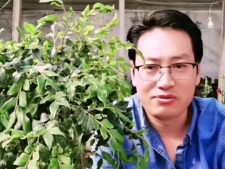 养花的乐趣#爱生活爱养花@DOU+小助手