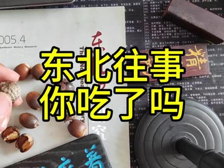 东北往事 你吃过吗——橡子面#橡子面#回忆#东北往事