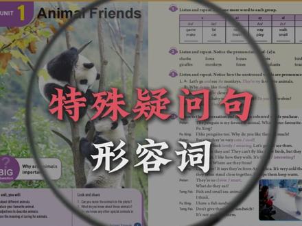 人教七下1单元重点语法藏着超多考点,今天带你一条视频讲完! #英语 #初中英语 #预习 #人教版英语 #英语语法