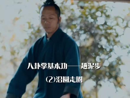 八卦掌基本功教学(2)趟泥步之沿圆走圈。所有的拳法,都离不开脚下根基的牢固。站不稳,何以战胜?