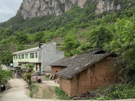 误闯天家,仙家莫怪 豁出去了,去更高的地方,大不了不回来吃饭了。演绎内容,仅供娱乐,请勿模仿#误闯天家 #世外隐居 #用各种方式打开误闯天家 #误闯天家劝君放下手中沙