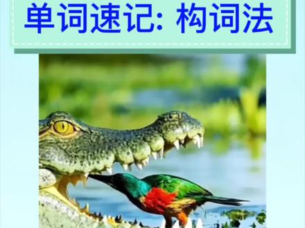 词根sens/sent(切)的高频词|词根词缀记忆法|单词速记🔥记住一个词根,背单词效率翻倍!#英语 #涨知识 #词根词缀记忆法#单词速记 #每天学习一点点
dissent n. 异议v. 持有异议
consent n./v. 同意;准许
consensus n. 共识
resent v. 反感;憎恨
assent n./v. 赞成;同意
sensible adj. 明智的
sensitive adj. 敏感的
sensory adj. 感觉的;感官的
sentiment n. 情绪;伤感 ;观点,看法
sentimental adj. 多愁善感的