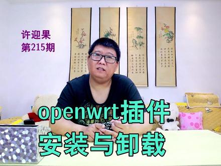 许迎果 第215期 openwrt软路由插件的安装与卸载