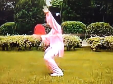 太極莲花扇《第二段》