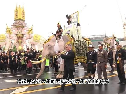 泰国大象悼念国王普密蓬,行跪拜礼。
#大象🐘 #东南亚 #泰国 #普密蓬 #场面壮观