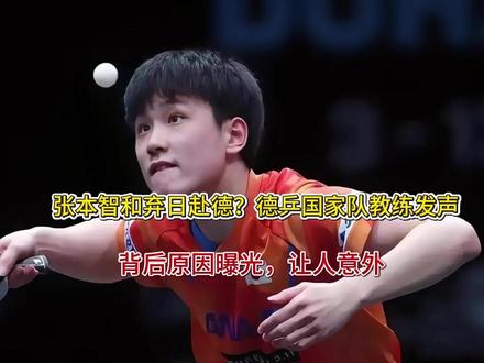 张本智和弃日赴德?德乒国家队教练发声,背后原因曝光,让人意外