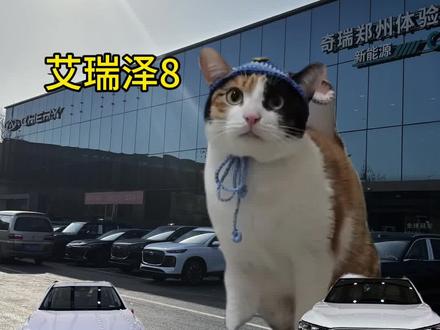 萝卜纸巾猫咪闯入汽车赛道啦#萝卜纸巾猫咪 #猫咪 #搞笑 #奇瑞汽车 #萝纸巾猫咪逐渐抽象