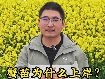 蟹苗为什么总是上岸?到底是什么原因?一定找准原因再处理,用对方法让你开春养蟹少踩坑,实现高产稳产!海大螃螃养殖技术服务工程师分享#螃蟹养殖 #河蟹养殖 #大闸蟹养殖 #螃蟹养殖技术 #养蟹人