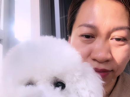 坦白了,我家狗子是地包天!
#家有毛孩子 #萌宠日常记录我家毛孩子 #家有比熊 #养狗人 #我的狗子