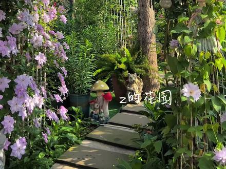 这个拱门的铁线莲是从芽签苗奶大的,今年刚满两岁🥰超爱这个倒影❤️#铁线莲 #爱生活爱养花 #好看的花一定要分享给你 #花的世界很美#我的花园