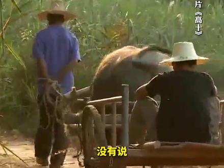 唐尚珺第16次高考后(一):回到老家翻出父亲的笔记本,“他希望我珍惜时光,也希望我实现梦想”。#父亲离世时以为唐尚珺在中国政法读书