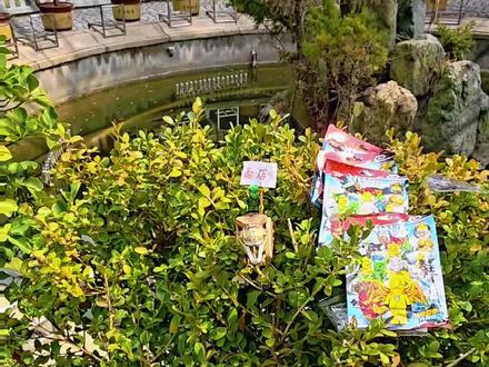 国产积木拼搭:幻影忍者劳埃德?#幻影忍者 #幻影忍者劳埃德 #积木 #乐高 #二次元