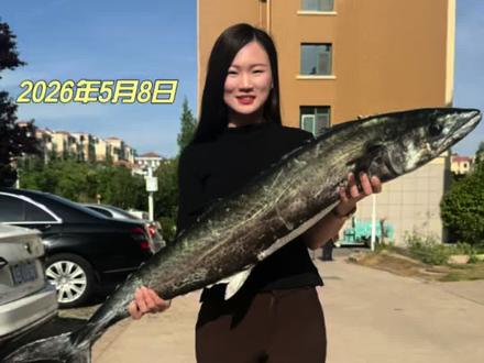 新手如何20斤鲅鱼上岸,鱼运比技术更重要。#钓到大鱼当然要炫耀一下 #斋堂岛钓鲅鱼 #青岛鲅鱼 #海钓 #斯泰拉