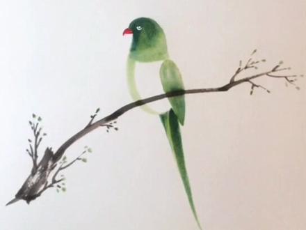 鹦鹉🦜的画法~#零基础学画画 #国画花鸟 #想画就画