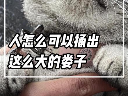 tdt人怎么可以捅出这么大的娄子。