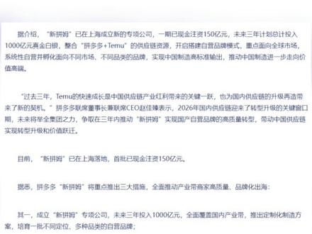 拼多多要出一款新"拼多多”了,未来三年投资千亿运营新拼姆! #拼多多 #新拼姆 #拼多多仅退款
