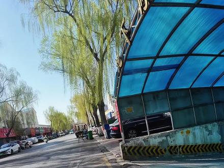 今天去市场买菜,准备给店里的视障伙伴们做饭,
每天都能遇到这么多温暖的人,真好。
#盲人 #第一视角 #正能量 #温暖瞬间 #上热门