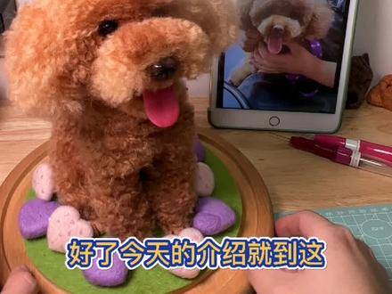 羊毛毡定制:整身泰迪狗狗
#宠物毛毡教程 #羊毛毡 #羊毛毡戳戳乐 #羊毛毡宠物定制