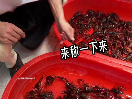上次来邵伯吃龙虾估计是9年前了~我还头一回吃8 9 10的龙虾呢!!!
#扬州 #小龙虾 #爱自己的100种方式
#冷妹儿在扬州的吃喝玩乐