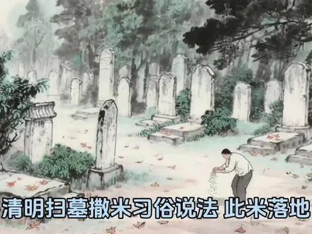 清明扫墓清明撒米祈福文
此米落地,阴阳两利,
祖先得食,护佑家宅。
子孙平安,诸事顺遂,
福泽绵长,世代安康。
- 心诚:重在心意,不是迷信