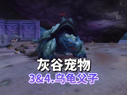 一起去灰谷抓宠物!:3.眼冒红光的乌龟&刺壳龟 #魔兽 #游戏杂谈 #游戏日常 #游戏精彩时刻 #魔兽世界不再错过