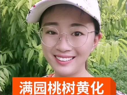 黄化树灌根方案:使用矿源黄腐酸钾3000—5000倍+螯合铁1500倍灌根(同时可以加入生物菌剂)