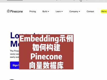 Embedding示例之构建Pinecone向量数据库,ChatGPT与OpenAI进阶#ChatGPT #embedding #Pinecone #向量数据库 #OpenAI