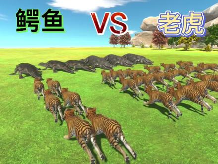 鳄鱼VS老虎,动物战斗模拟。