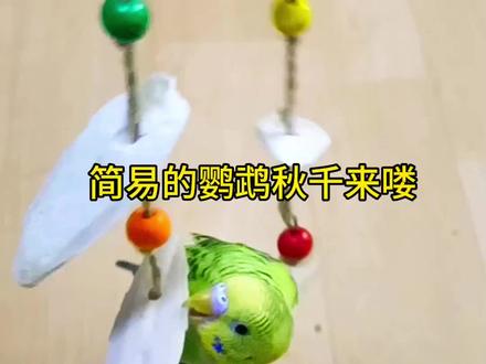自制鹦鹉秋千教程,你们家鹦鹉是不是也缺一个秋千#萌宠出道计划 #手工diy #变废为宝 #神奇动物在抖音 #原创视频