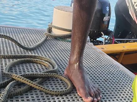 听说本地人嗑的瓜子都是海里捡的 。。 #所罗门群岛 #生蚝 #青年创作者成长计划