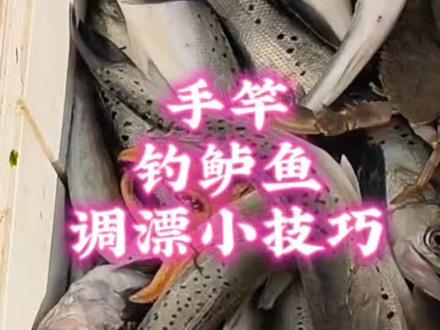 #生活需要好心态 手竿钓鲈鱼调漂小技巧#钓鱼#钓鱼人#钓鱼人就是这么疯狂 #钓鱼的乐趣只有钓鱼人懂