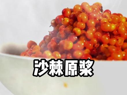 沙棘原浆怎么挑,听的懂的方式告诉你!#彩虹星球安全食材