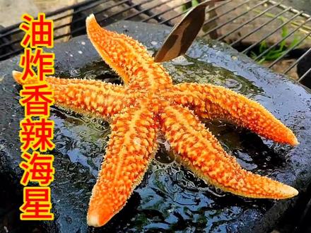 河里捞到了一个海星,放石板上油炸一下,撒上辣椒面太美味了 #海鲜 #烤海星 #海星 #石板烧烤 #我要上热门