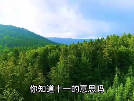 #诗与远方 #深夜语录 “十一”的意思叫做“遗憾”;十一是爱而不得,十一是心碎……