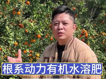 作物根系差、长势弱、叶片黄!宜农兄弟根系动力有机水溶肥,有助于根系生长,促进叶片转绿,恢复长势#果园管理 #三农种植 #三农 #生根壮苗 #种植