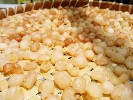 简单在家晒桂圆,补血安眠~晒完后冰箱零下冷藏,多年不坏!