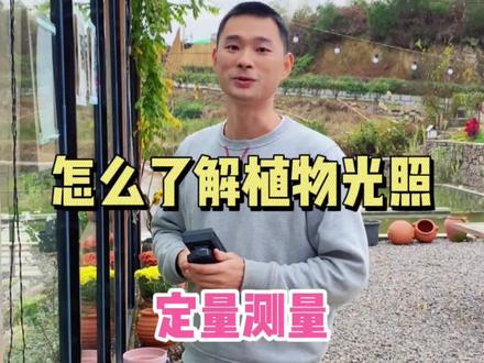 定量测量光照强度,让你更清楚的了解植物需要什么样的光照强度。#养花小知识 #花卉绿植 #种植