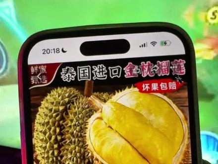 6块网上买的山姆金枕榴莲后续来了,依旧是报恩榴莲#山姆榴莲#榴莲#报恩榴莲
