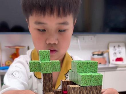我的世界小树屋积木#磁力方块积木 #我的世界磁力小方块玩具 #我的世界#minecraft #我的世界磁力积木
