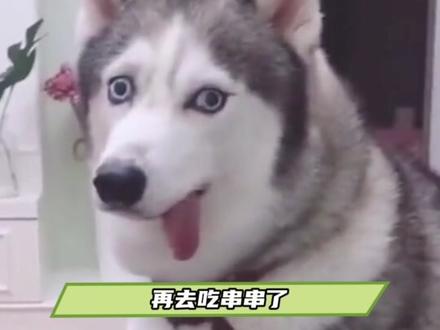 笑鼠了~这是主动承认串串签子是重复利用的了呀~#卫生安全 #串串 #汪汪队立大功