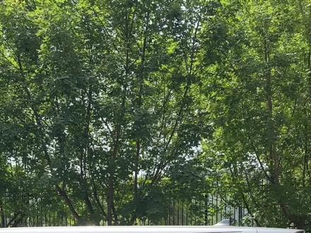 🔬溯源巨子生物#护肤 #溯源